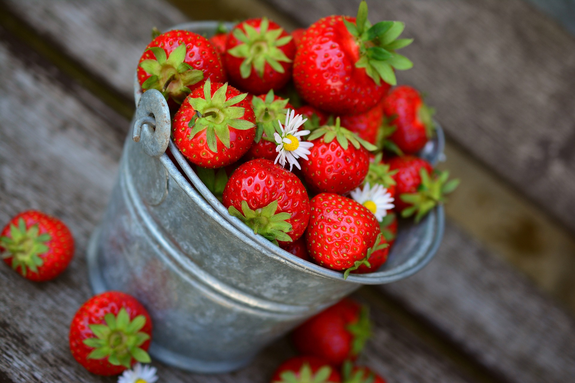 strawberries-g64fd4402b_1920.jpg