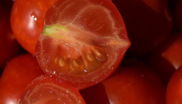 tomatoes-gd25ea7380_1920-750x430.jpg