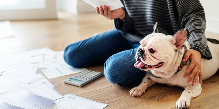 Ciência. ADN pode dizer se somos uma pessoa de cães