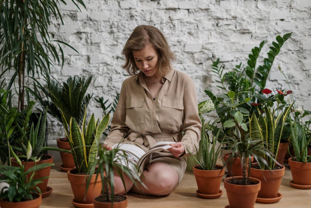 Proteja-se do “mau-olhado” colocando estas plantas em sua casa (já hoje)