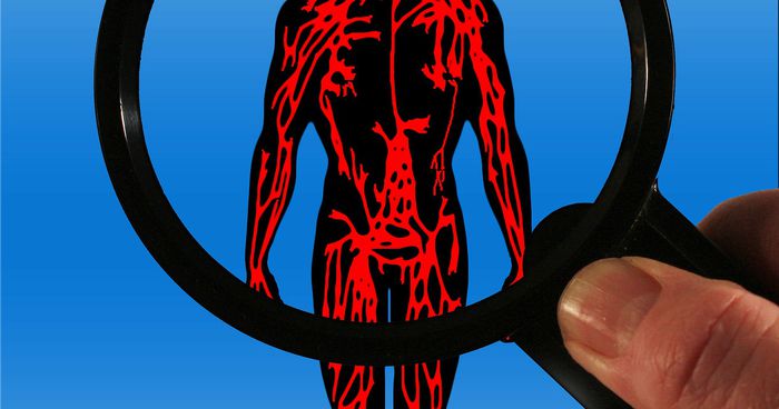 Quantos litros de sangue tem o corpo humano? Consegue adivinhar?